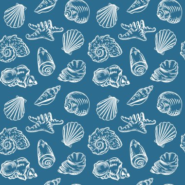 Deniz kabuğu Plajı el çizilmiş kroki tarzı illüstrasyon desen. Gerçekçi çeşitli yumuşakça çeşitleri.