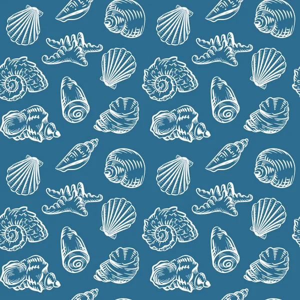 Deniz kabuğu Plajı el çizilmiş kroki tarzı illüstrasyon desen. Gerçekçi çeşitli yumuşakça çeşitleri.