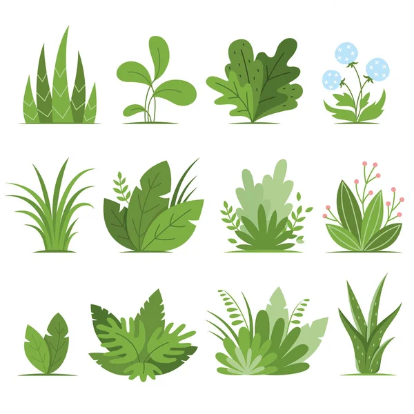 Bushes Plants Herbs Design Elements Set Modern Cartoon Style Isolated — Wektor stockowy