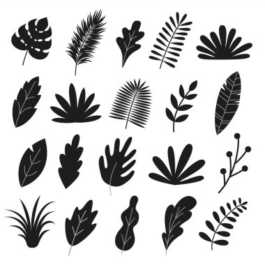 Set of silhouettes leaves, herbs, branches, tropical leaf, palm. Floral design element collection