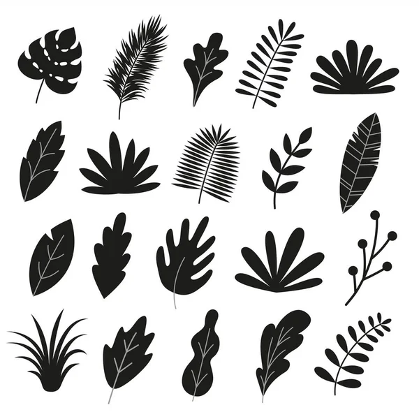 Set Silhouettes Leaves Herbs Branches Tropical Leaf Palm Floral Design — Wektor stockowy