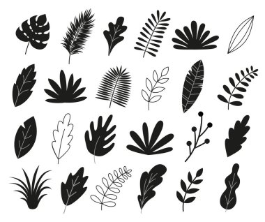 Siluet yaprakları, bitkiler, dallar, tropikal yapraklar, palmiye ağaçları. Çiçek tasarım ögesi koleksiyonu