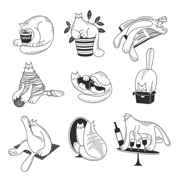 Ručně Kreslená Sada Koček Stylu Náčrtku Funny Pet Characters Illustration — Stockový vektor