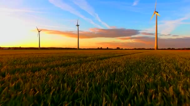 Luchtfoto Van Windturbines Bij Zonsondergang Landelijk Gebied Regio Neder Rijn — Stockvideo