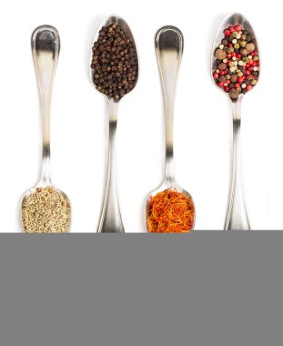 Demir kaşıkları metin baharat beyaz zemin üzerine izole içinde farklı baharatlar. Kurutulmuş biberiye, safran üstten görüntülemek, biber. 