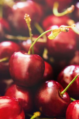 Olgun kiraz. Yukarıdan görüntüleyin. Kiraz arka plan, taze kiraz, tatlı kiraz. Tonlu arka plan.