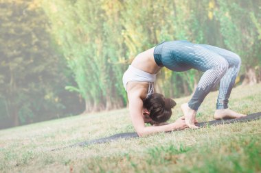 Genç kadın doğada pratik uzanan ince. Çim, dirsek köprü egzersiz germe üzerinde kalan Urdhva Dhanurasana poz. Yeşil arka plan. İyi sağlıklı ve spor kavram. Tonda etkisi.