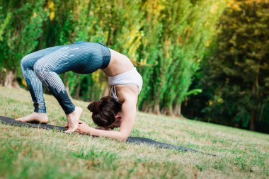 Genç kadın doğada pratik uzanan ince. Çim, dirsek köprü egzersiz germe üzerinde kalan Urdhva Dhanurasana poz. Yeşil arka plan. İyi sağlıklı ve spor kavramı.