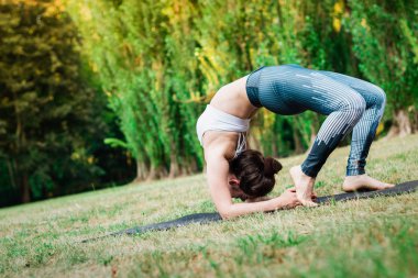 Genç kadın doğada pratik uzanan ince. Çim, dirsek köprü egzersiz germe üzerinde kalan Urdhva Dhanurasana poz. Yeşil arka plan. İyi sağlıklı ve spor kavramı.