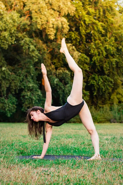 Mujer Joven Delgada Practicando Yoga Naturaleza Yoga Asana Eka Pada — Foto de Stock