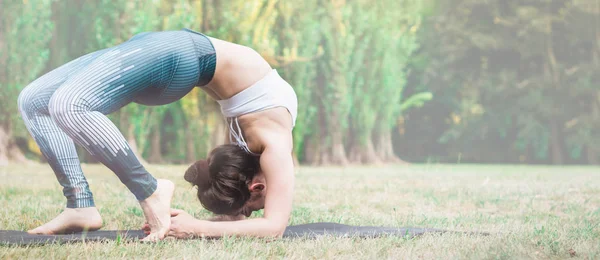 Mujer Joven Delgada Practicando Estiramiento Naturaleza Permanecer Hierba Estiramiento Ejercicio — Foto de Stock