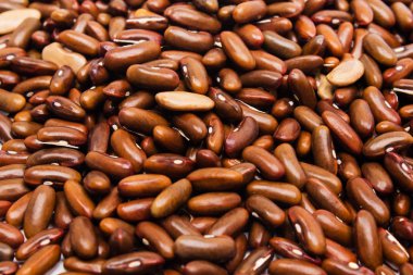 Kahverengi (kırmızı) fasulye arka kapatmak. Brown (kırmızı) tohumları ile beyaz fasulye fasulye..