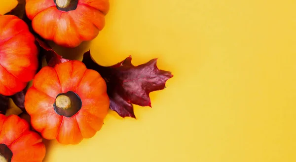 Vacaciones Halloween Fondo Otoño Calabazas Naranjas Con Hojas Roble Secas — Foto de Stock