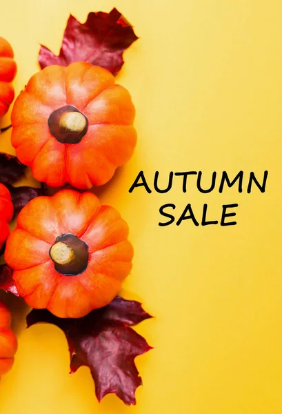 Autumn Sale Background Orange Pumpkins Red Dried Oak Leaves Yellow — Stock Photo, Image