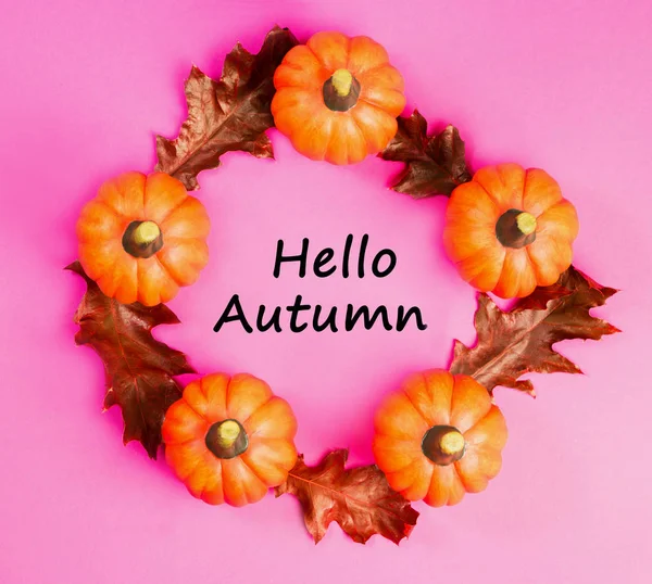 Autumn Background Orange Pumpkins Red Dried Oak Leaves Pink Background — Stock Photo, Image