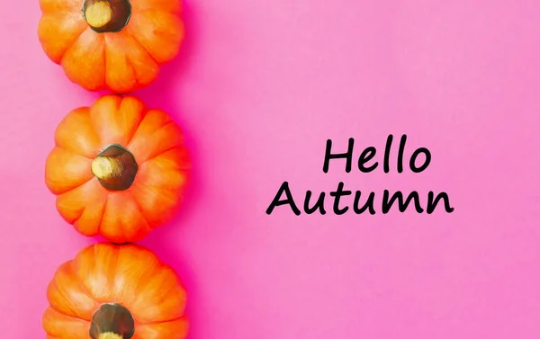 秋の背景 ピンクの背景にオレンジ色のカボチャ 本文こんにちは秋 上からの眺め — ストック写真