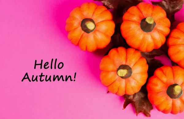 秋の背景 赤とオレンジ色のカボチャは ピンクの背景にカシの葉を乾燥させます 本文こんにちは秋 上からの眺め — ストック写真