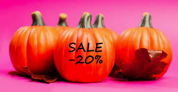 Podzimní Prodej Pozadí Pomerančové Dýně Červeně Sušenými Dubovými Listy Růžovém — Stock fotografie