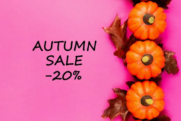 Autumn sale background. Orange pumpkins with red dried oak leaves on pink background. Text autumn sale -20%. View from above.