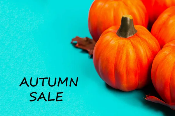 Podzimní Prodej Pozadí Oranžové Dýně Červenou Sušené Dubové Listí Modrém — Stock fotografie