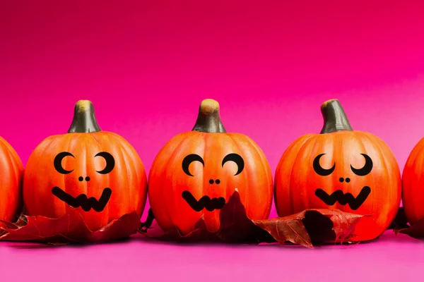 Fondo Vacaciones Halloween Halloween Calabaza Jack Linterna Decoración Con Caras Imagen De Stock