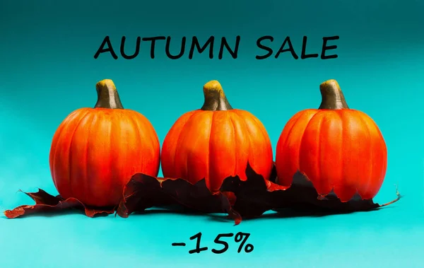 Autumn Sale Background Orange Pumpkins Red Dried Oak Leaves Blue — Stock Photo, Image