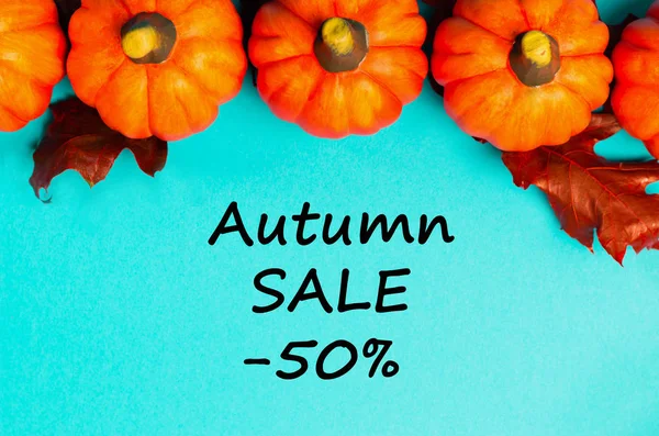 Autumn Sale Background Orange Pumpkins Red Dried Oak Leaves Blue — Stock Photo, Image