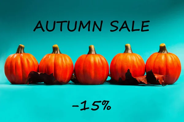 Autumn Sale Background Orange Pumpkins Red Dried Oak Leaves Blue — Stock Photo, Image
