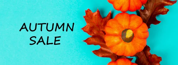 Осенняя Распродажа Фона Оранжевые Тыквы Красными Сушеными Дубовыми Листьями Синем — стоковое фото