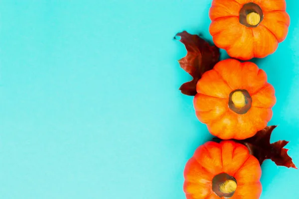 Vacaciones Halloween Fondo Otoño Cinco Calabazas Naranjas Con Hojas Roble Fotos De Stock Sin Royalties Gratis