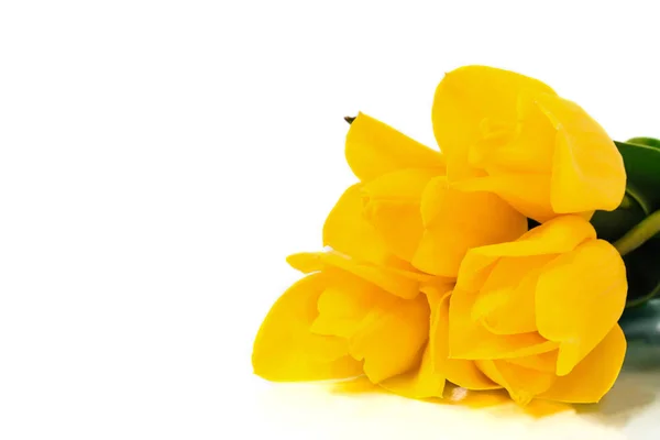 Concepto Primavera Ramo Tulipanes Amarillos Aislados Sobre Fondo Blanco Día — Foto de Stock