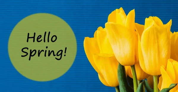 Concepto Primavera Ramo Tulipanes Amarillos Sobre Fondo Azul Día Madre — Foto de Stock