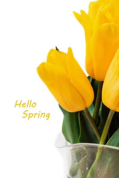 Concepto Primavera Ramo Tulipanes Amarillos Aislados Sobre Fondo Blanco Día — Foto de Stock