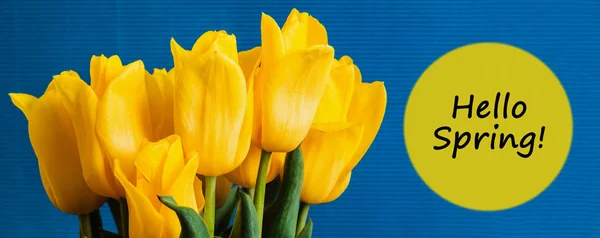 Lente Concept Boeket Van Gele Tulpen Blauwe Achtergrond Mother Day — Stockfoto