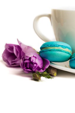 Pasta macaron veya izole beyaz, renkli Badem Çerezler, pastel renkler, Menekşe bahar çiçek kahve ile beyaz tabakta acıbadem kurabiyesi. Metin için yer kopyalayın. 
