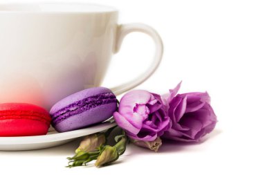 Pasta macaron veya izole beyaz, renkli Badem Çerezler, pastel renkler, Menekşe bahar çiçek kahve ile beyaz tabakta acıbadem kurabiyesi. Metin için yer kopyalayın. 