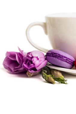 Pasta macaron veya izole beyaz, renkli Badem Çerezler, pastel renkler, Menekşe bahar çiçek kahve ile beyaz tabakta acıbadem kurabiyesi. Metin için yer kopyalayın. 