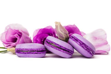 Pasta macaron veya beyaz, violet Badem Çerezler üzerinde pastel renkler, Menekşe bahar çiçekleri izole acıbadem kurabiyesi. Metin için yer kopyalayın.
