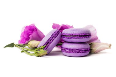 Pasta macaron veya beyaz, violet Badem Çerezler üzerinde pastel renkler, Menekşe bahar çiçekleri izole acıbadem kurabiyesi. Metin için yer kopyalayın.
