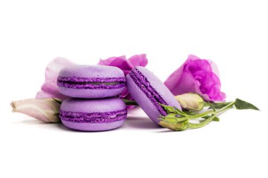 Pasta macaron veya beyaz, violet Badem Çerezler üzerinde pastel renkler, Menekşe bahar çiçekleri izole acıbadem kurabiyesi. Metin için yer kopyalayın.