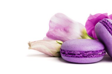 Pasta macaron veya beyaz, violet Badem Çerezler üzerinde pastel renkler, Menekşe bahar çiçekleri izole acıbadem kurabiyesi. Metin için yer kopyalayın.