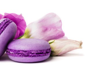 Pasta macaron veya beyaz, violet Badem Çerezler üzerinde pastel renkler, Menekşe bahar çiçekleri izole acıbadem kurabiyesi. Metin için yer kopyalayın.