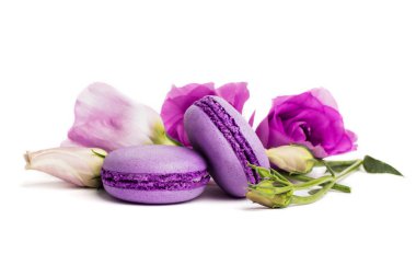 Pasta macaron veya beyaz, violet Badem Çerezler üzerinde pastel renkler, Menekşe bahar çiçekleri izole acıbadem kurabiyesi. Metin için yer kopyalayın.