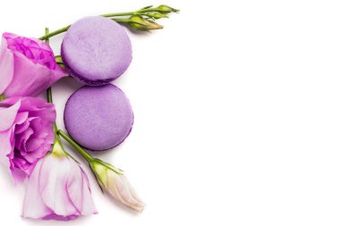Pasta macaron veya beyaz, violet Badem Çerezler üzerinde pastel renkler, Menekşe bahar çiçekleri izole acıbadem kurabiyesi. Metin için yer kopyalayın. Üstten Görünüm.