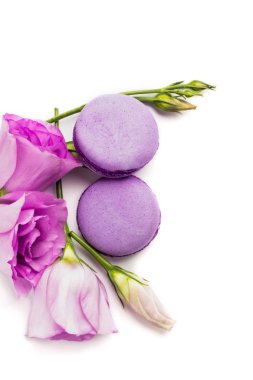 Pasta macaron veya beyaz, violet Badem Çerezler üzerinde pastel renkler, Menekşe bahar çiçekleri izole acıbadem kurabiyesi. Metin için yer kopyalayın. Üstten Görünüm.