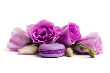 Pasta macaron veya beyaz, violet Badem Çerezler üzerinde pastel renkler, Menekşe bahar çiçekleri izole acıbadem kurabiyesi. Metin için yer kopyalayın.