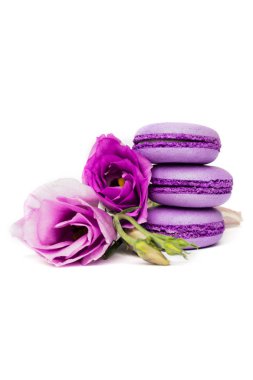 Pasta macaron veya beyaz, violet Badem Çerezler üzerinde pastel renkler, Menekşe bahar çiçekleri izole acıbadem kurabiyesi. Metin için yer kopyalayın.