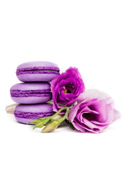 Pasta macaron veya beyaz, violet Badem Çerezler üzerinde pastel renkler, Menekşe bahar çiçekleri izole acıbadem kurabiyesi. Metin için yer kopyalayın.