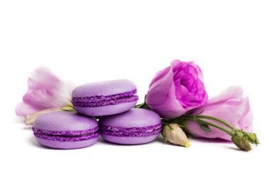 Pasta macaron veya beyaz, violet Badem Çerezler üzerinde pastel renkler, Menekşe bahar çiçekleri izole acıbadem kurabiyesi. Metin için yer kopyalayın.