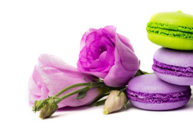 Pasta macaron veya izole beyaz, renkli Badem Çerezler, pastel renkler, Menekşe bahar çiçekleri acıbadem kurabiyesi. Metin için yer kopyalayın.